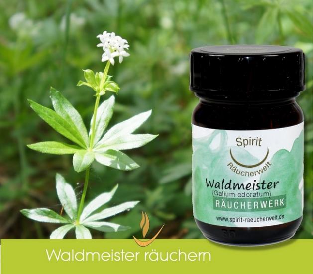 Waldmeister - heimisches Räucherwerk