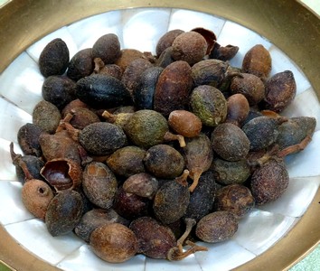 Lorbeerfrüchte zum Räuchern