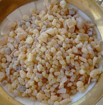 Weihrauch Somalia Granen zum Räuchern