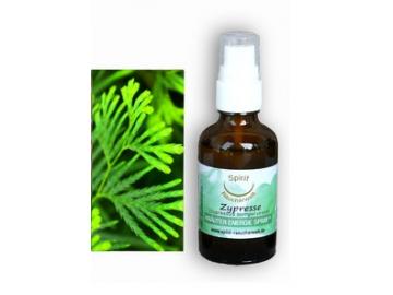 Zypresse | Energie und Aura Spray - 50ml