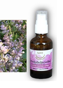 Muskatellersalbei | Energie und Aura Spray - 50ml